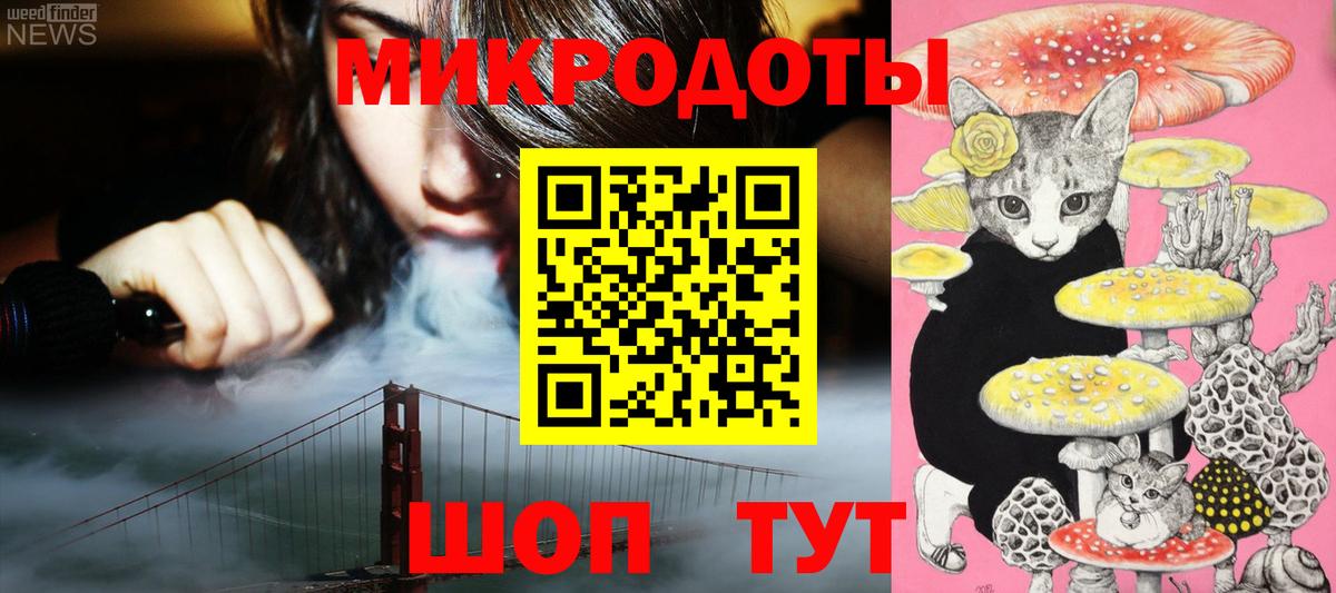 Галлюциногенные грибы Psilocybe  Псилоцибиновые грибы MAGIC MUSHROOMS  Обь  закладки  Вход с VPN 